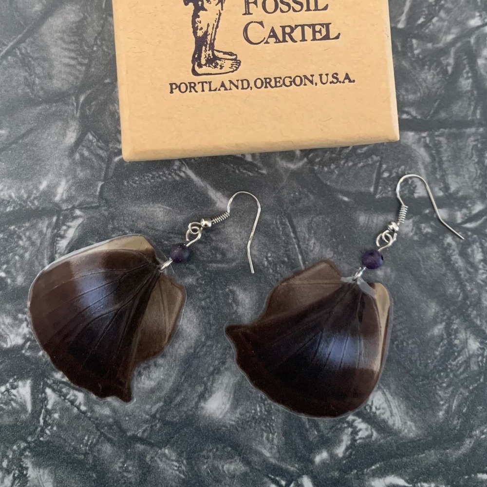 Beautiful Butterfly Wing Earrings W/ Sterling Wire